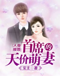 《入骨暖婚:首席的天价萌妻》
