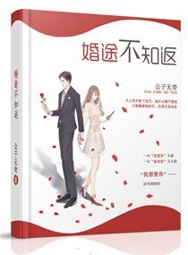 《婚途不知返》